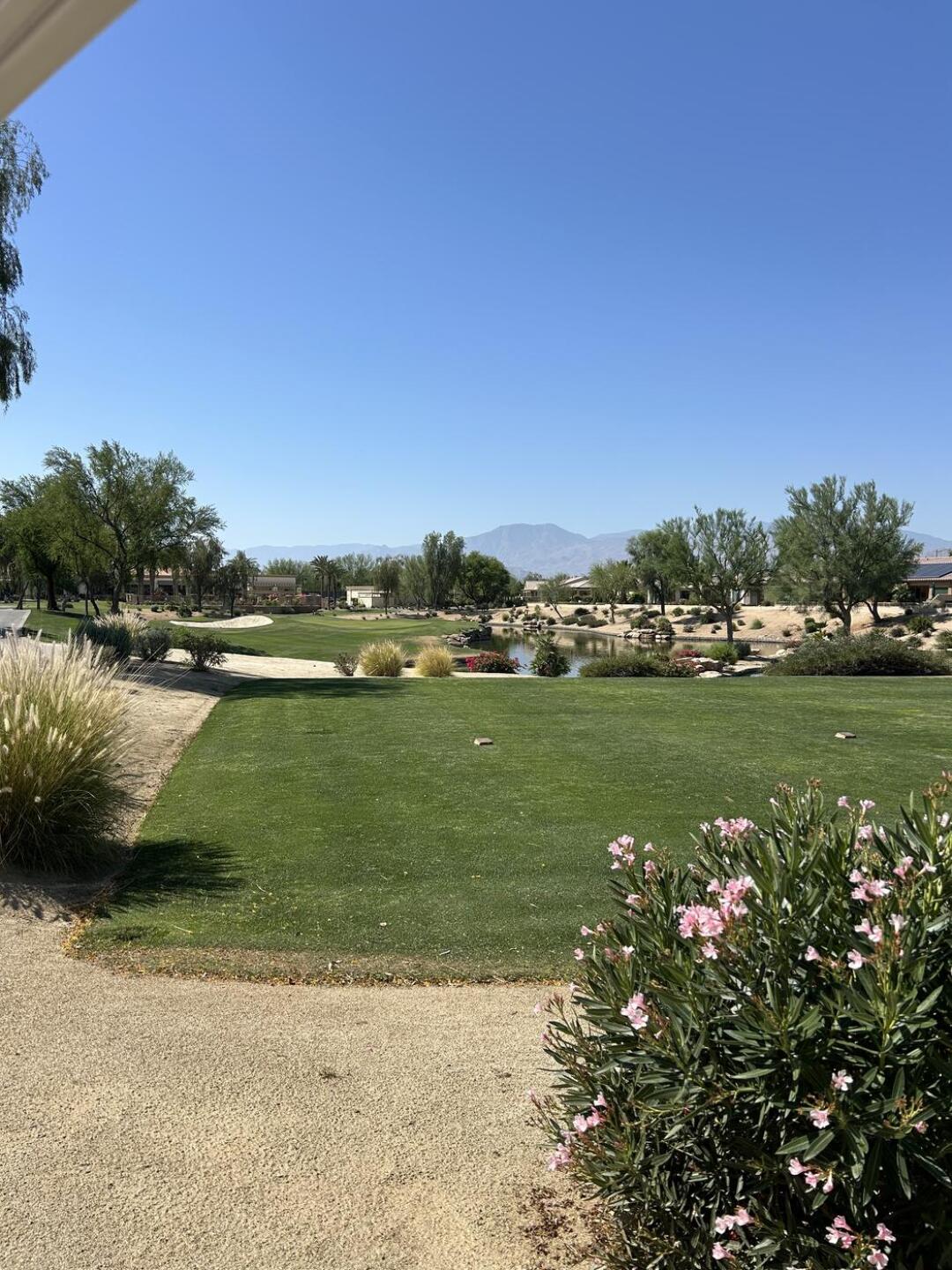 (Photo submitted by Wayne4410836 on 04/08/2026)