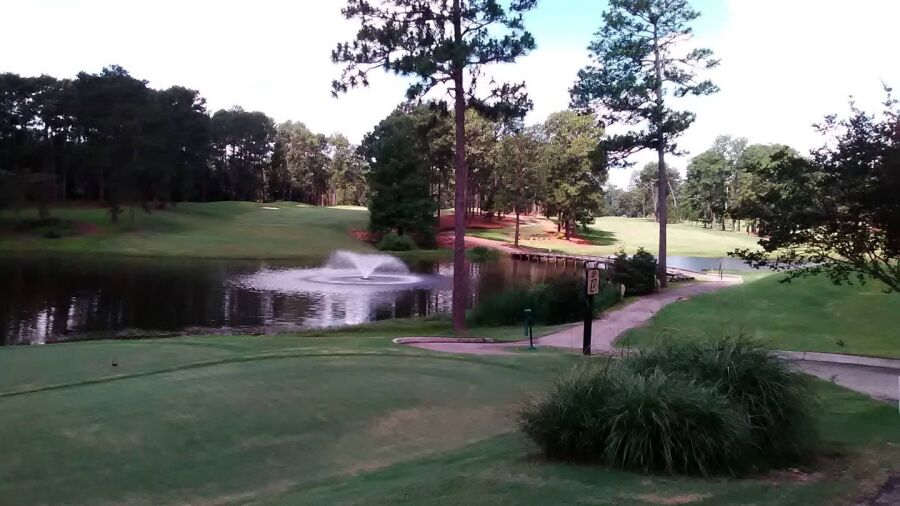 Hattiesburg CC: #17