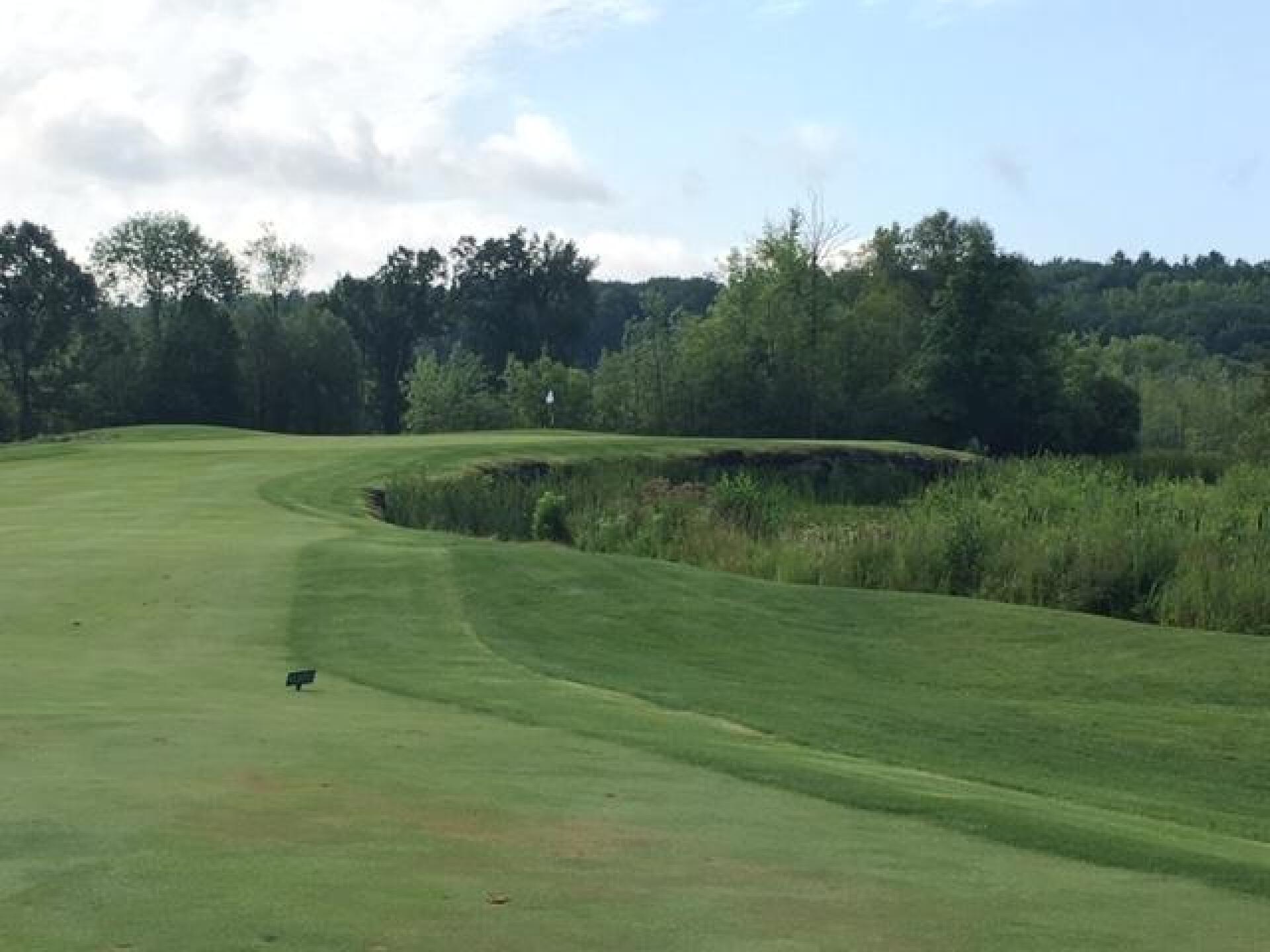 (Photo submitted by LICC on 08/11/2019)