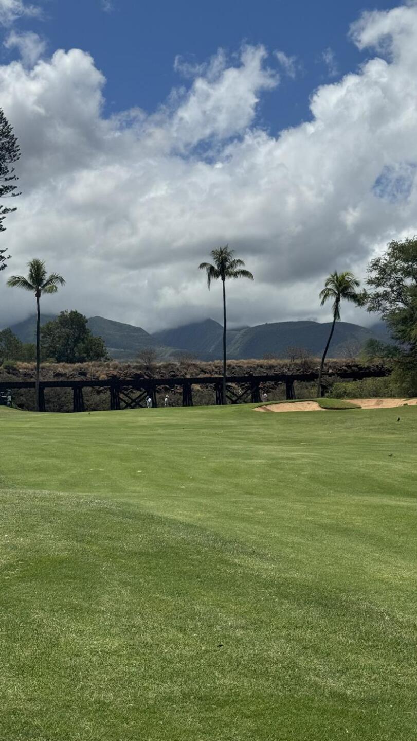 (Photo submitted by jewillia on 07/21/2025)