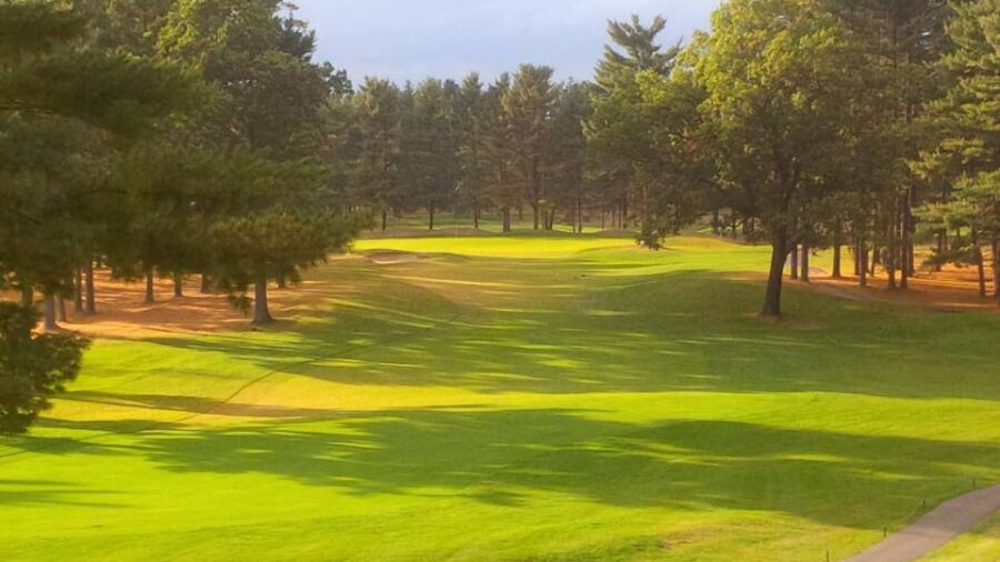 International GC - Pines