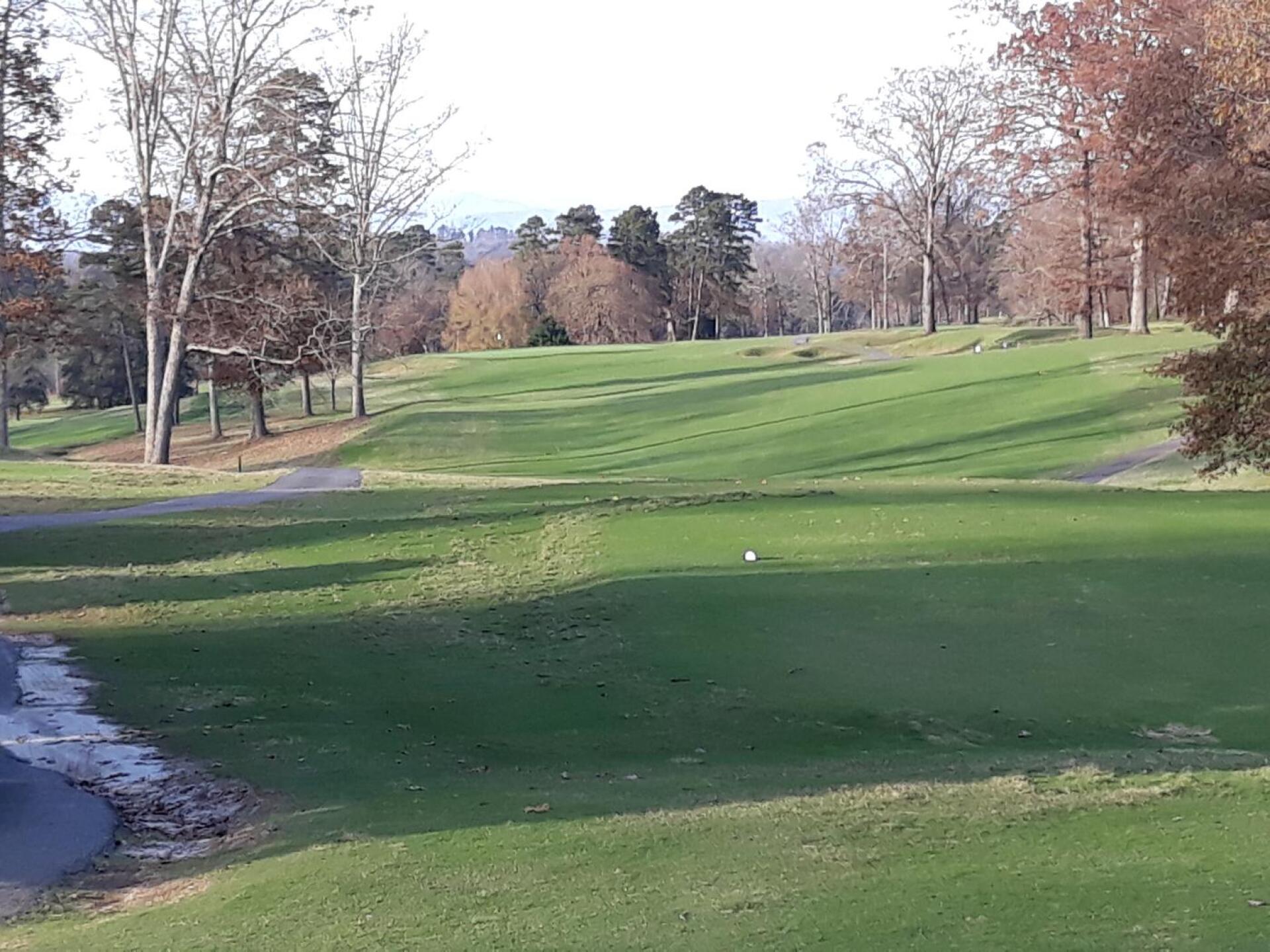 (Photo submitted by MoRoland on 11/14/2020)