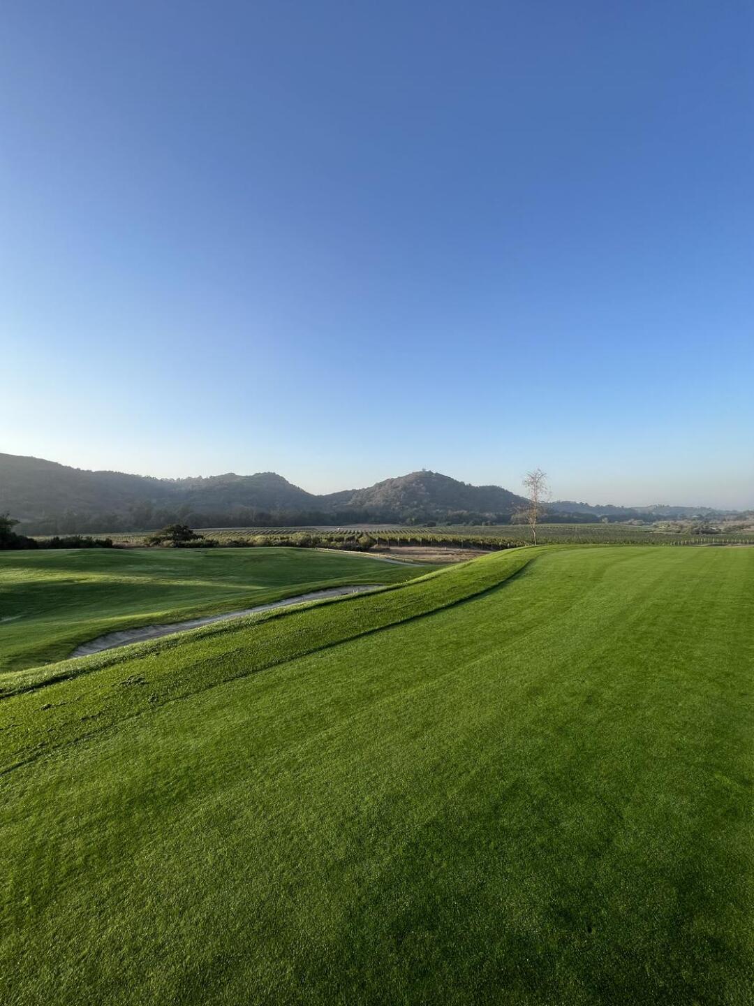 (Photo submitted by gaarroliga on 10/09/2022)