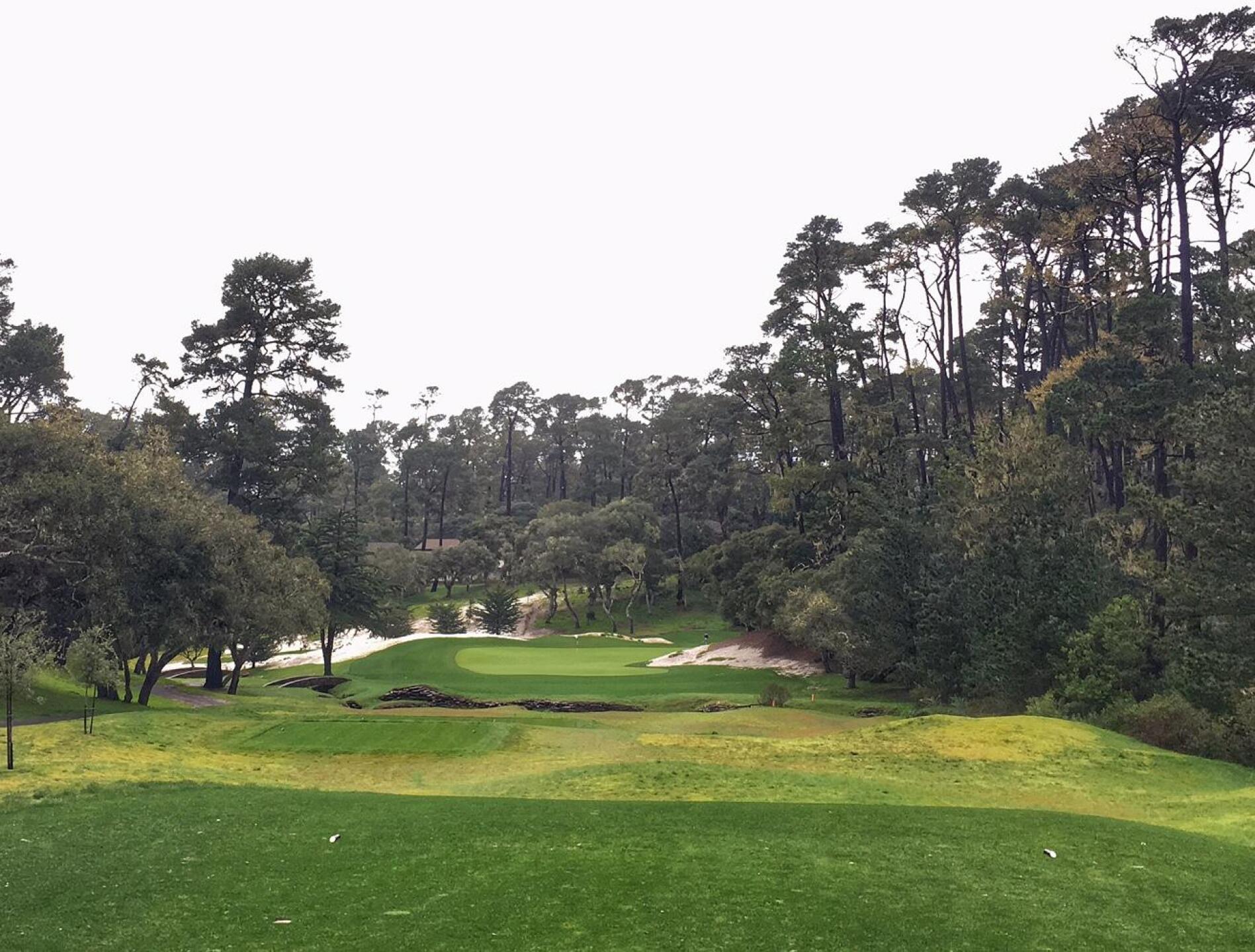 Long par-3 4th (Photo submitted by RyanLavnerGC on 02/13/2017)