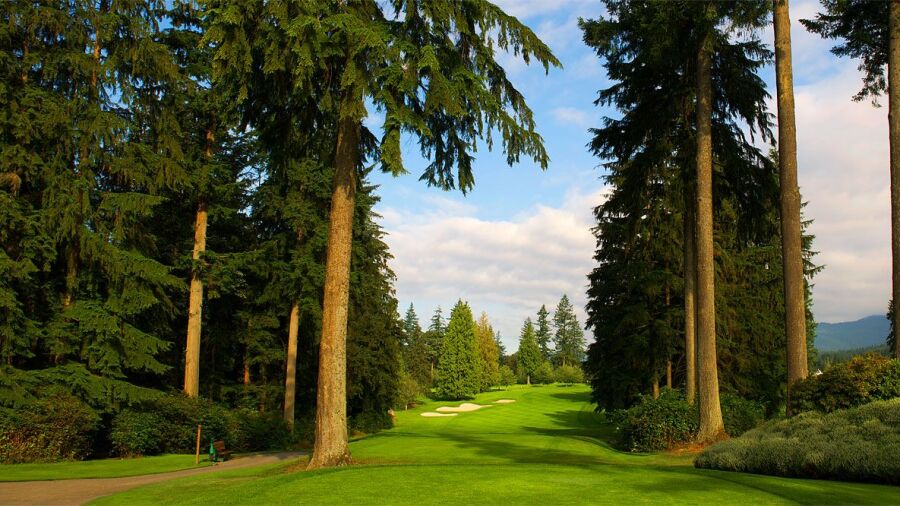 Seymour GCC: #9