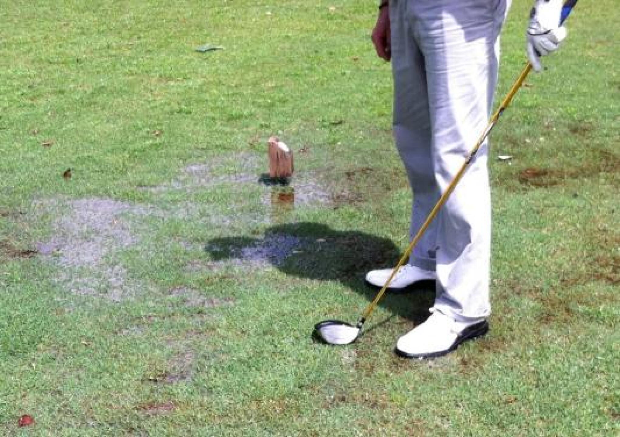 Tee Box (Photo submitted by btpar3 on 07/17/2013)