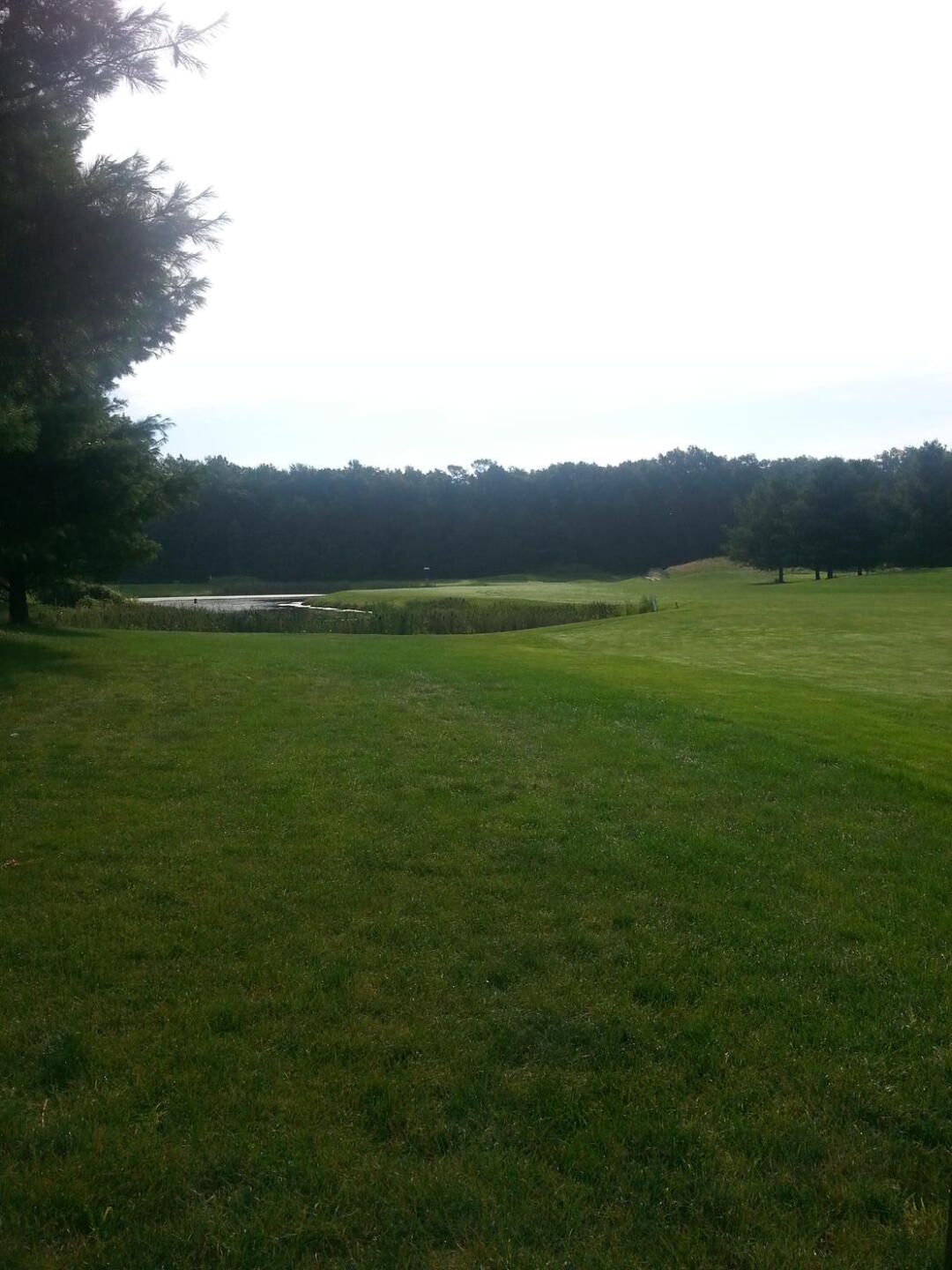 (Photo submitted by DavidLaDuke on 07/22/2015)