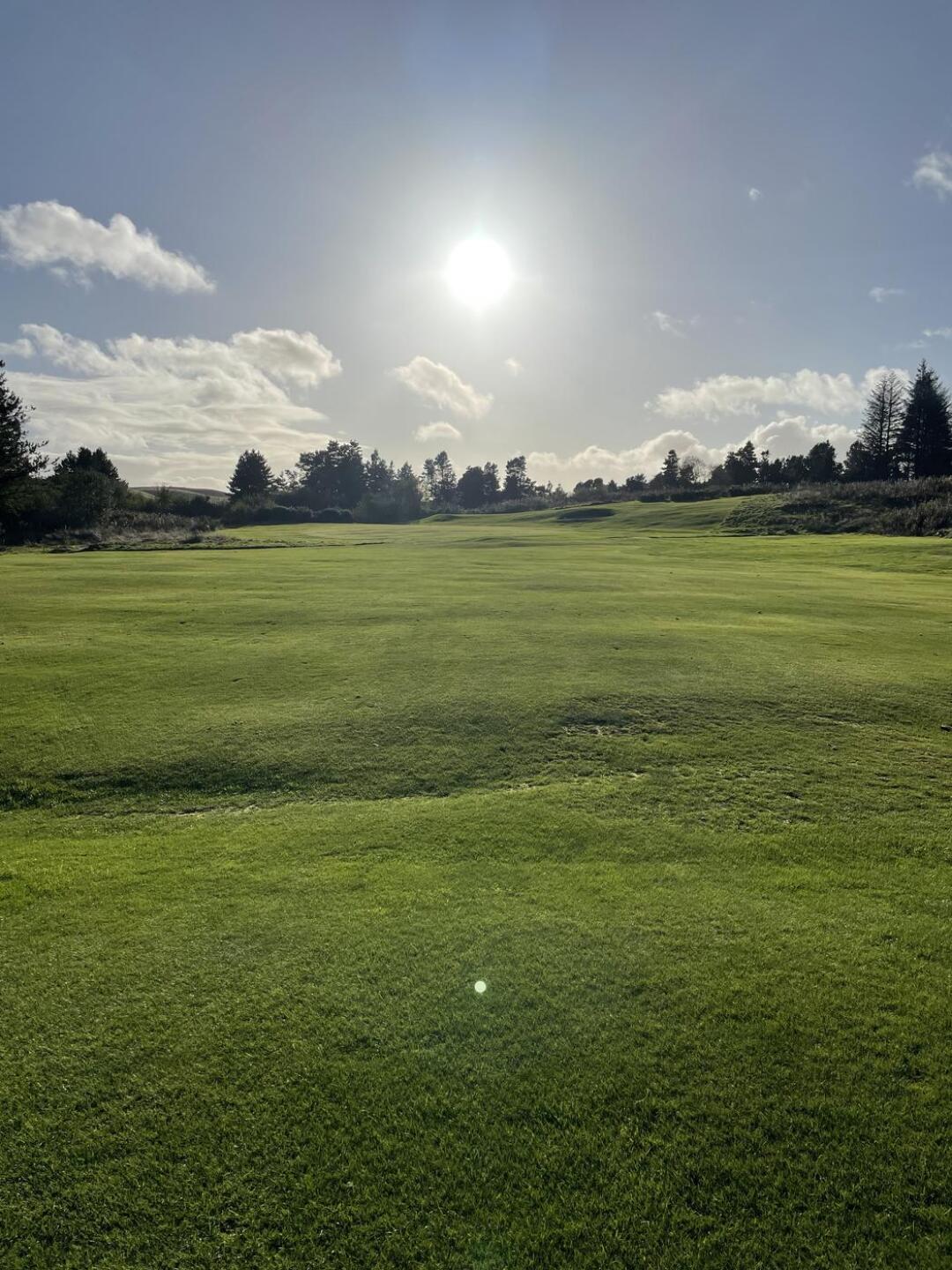 (Photo submitted by u314163005712 on 10/14/2023)