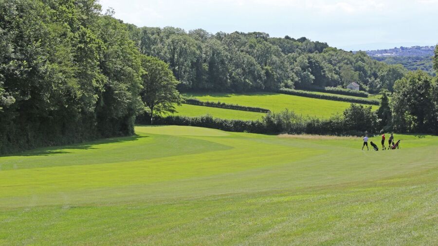 Dinas Powis GC: #8