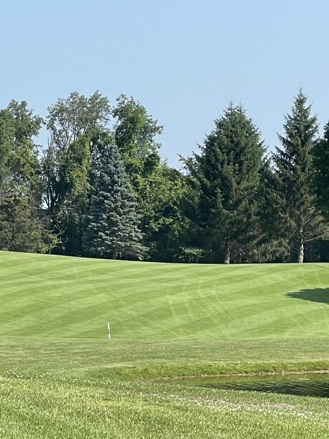 (Photo submitted by u00000637608 on 07/10/2023)