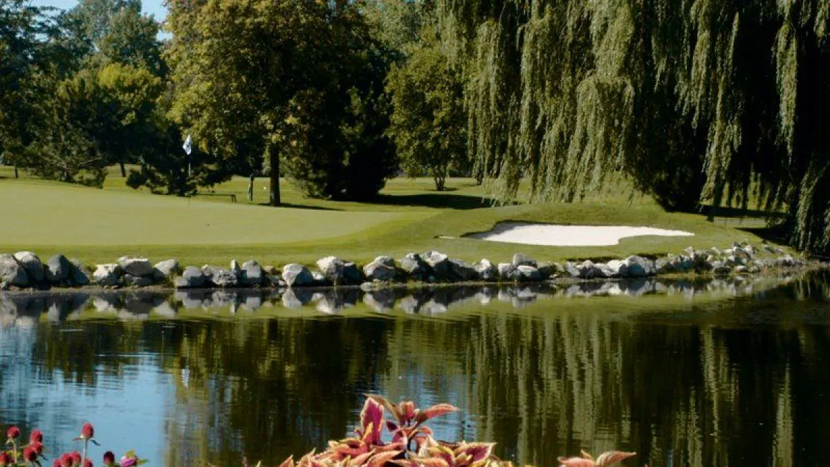 walnut creek country club dress code West/North at in South Lyon, Michigan, USA Color:Heirloom Sage Golfers quince dress Black Label by Evan-Picone