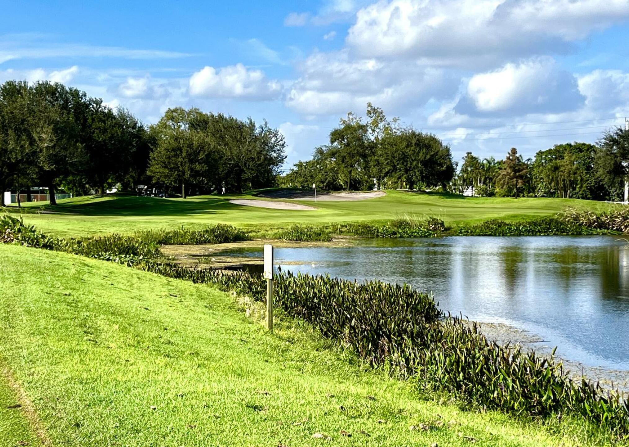 (Photo submitted by jorden17 on 11/14/2024)