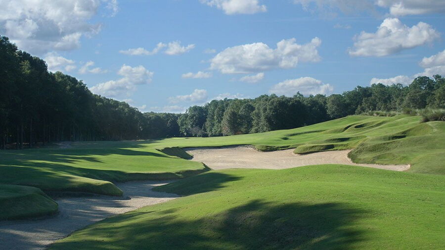 Wachesaw Plantation Club: #12