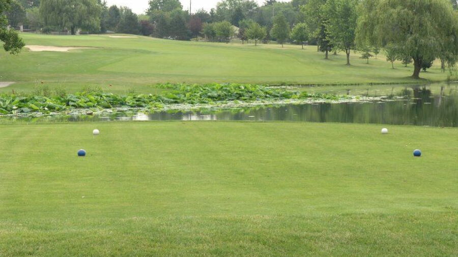 Forest Park GC