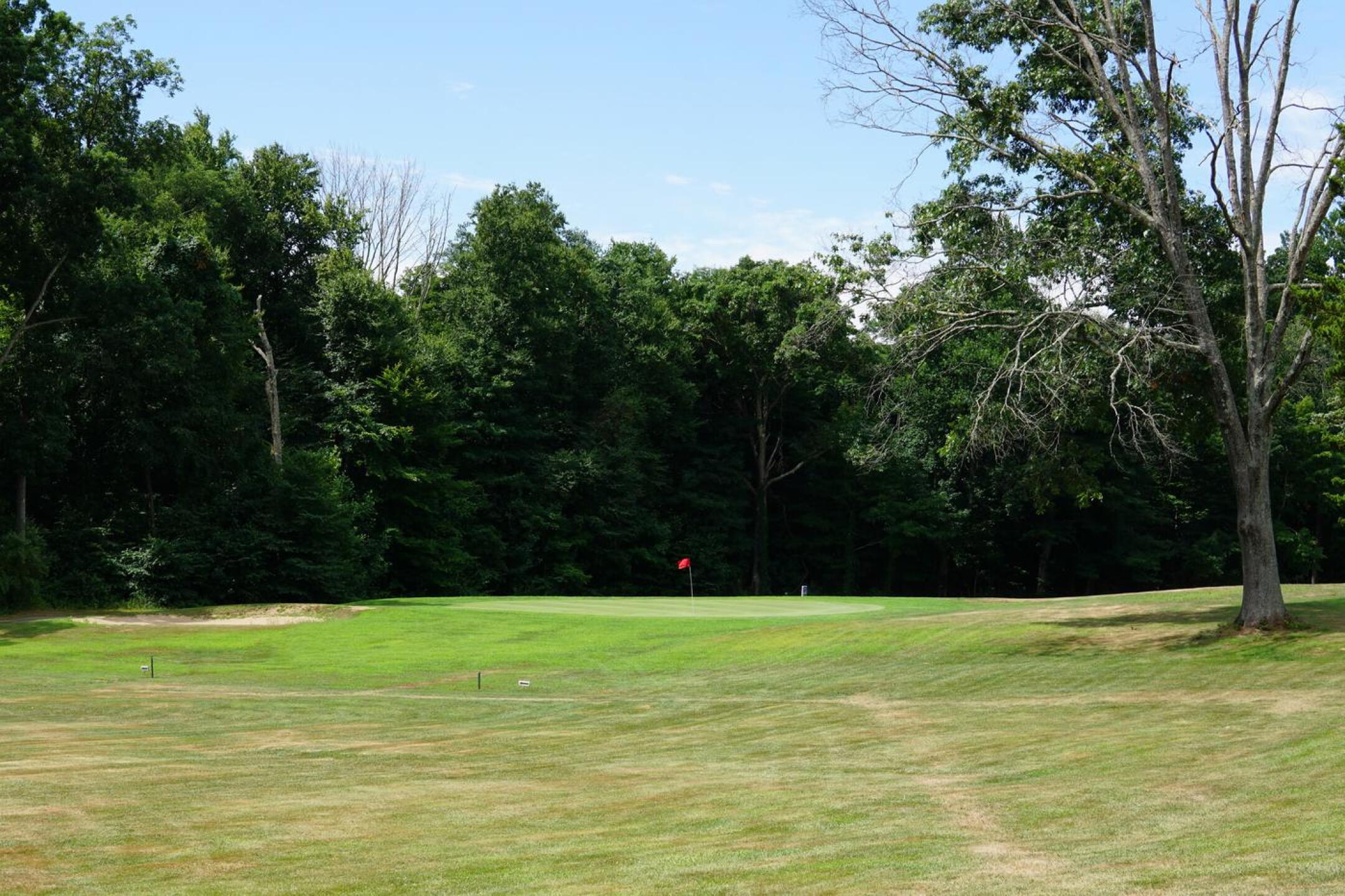 From the right rough, a view of the eleventh green. (Photo submitted by AptlyLinked on 07/26/2022)