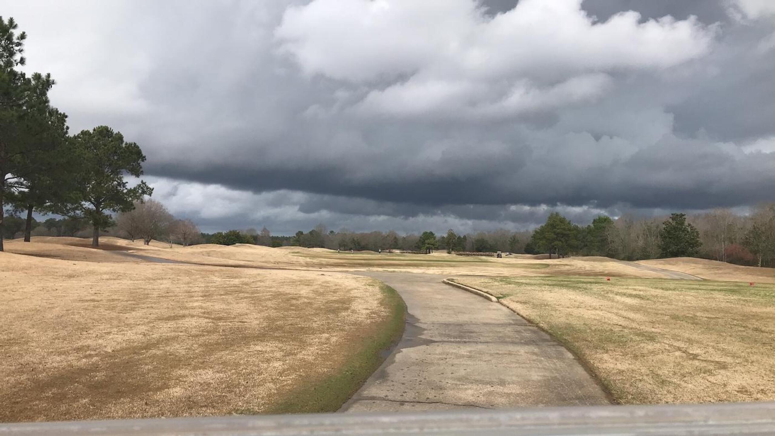 (Photo submitted by u314163833505 on 02/11/2024)