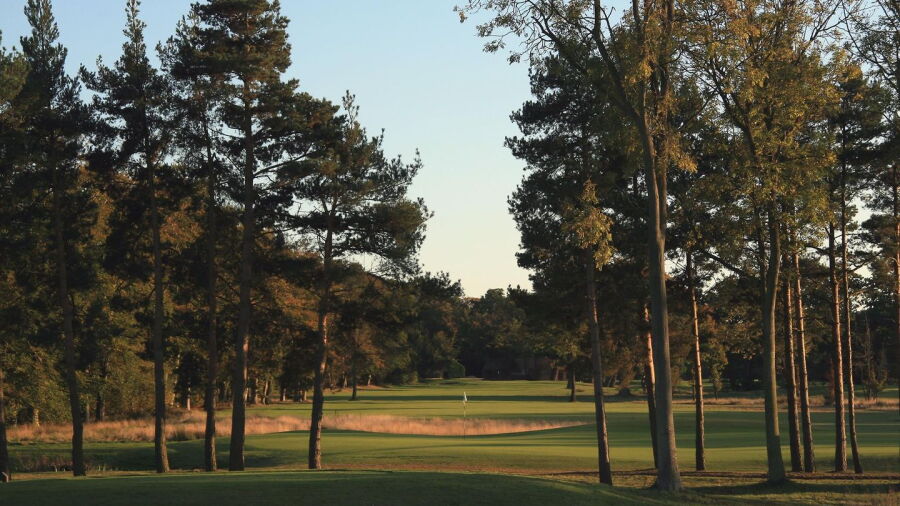 Woodhall Spa GC at National Golf Centre - Bracken: #8