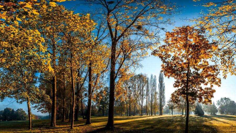 Golf de Coudray-Montceaux