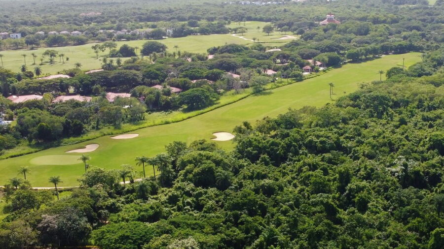 Guavaberry GCC: #1