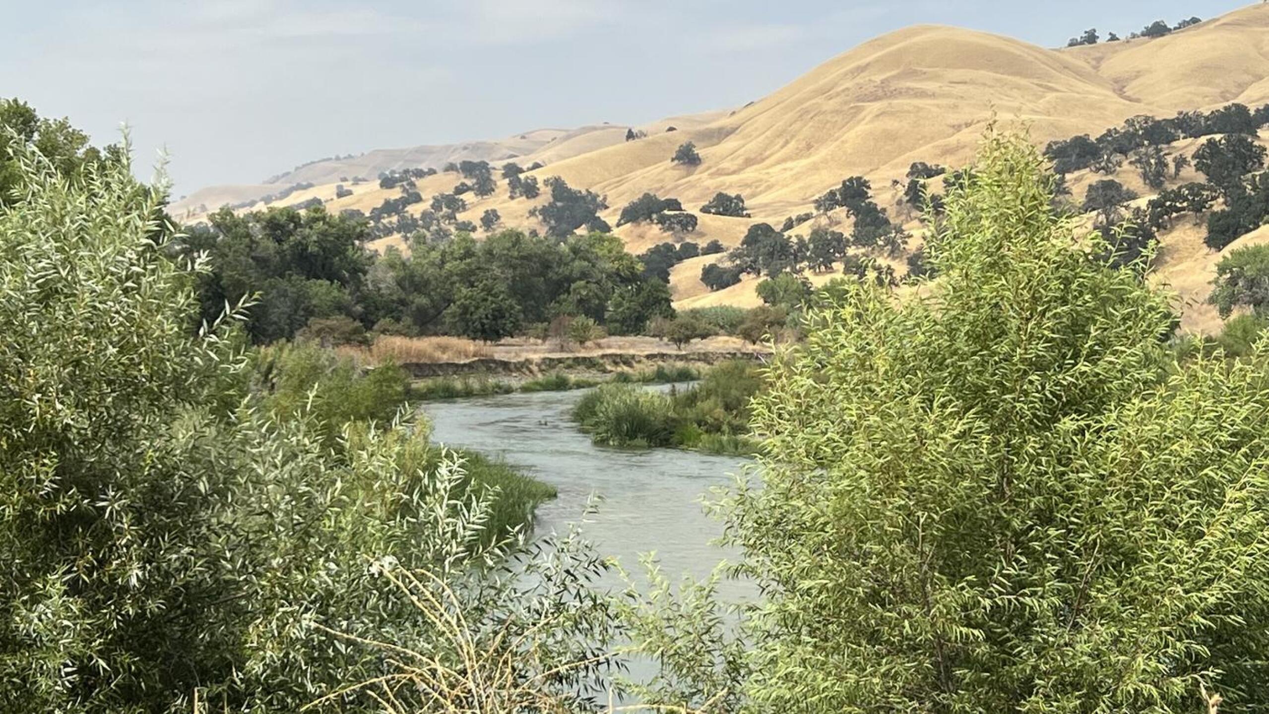 (Photo submitted by u7326787 on 09/07/2023)