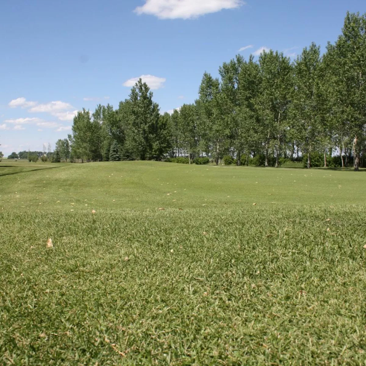 New Rockford Golf Club in New Rockford, North Dakota, USA GolfPass