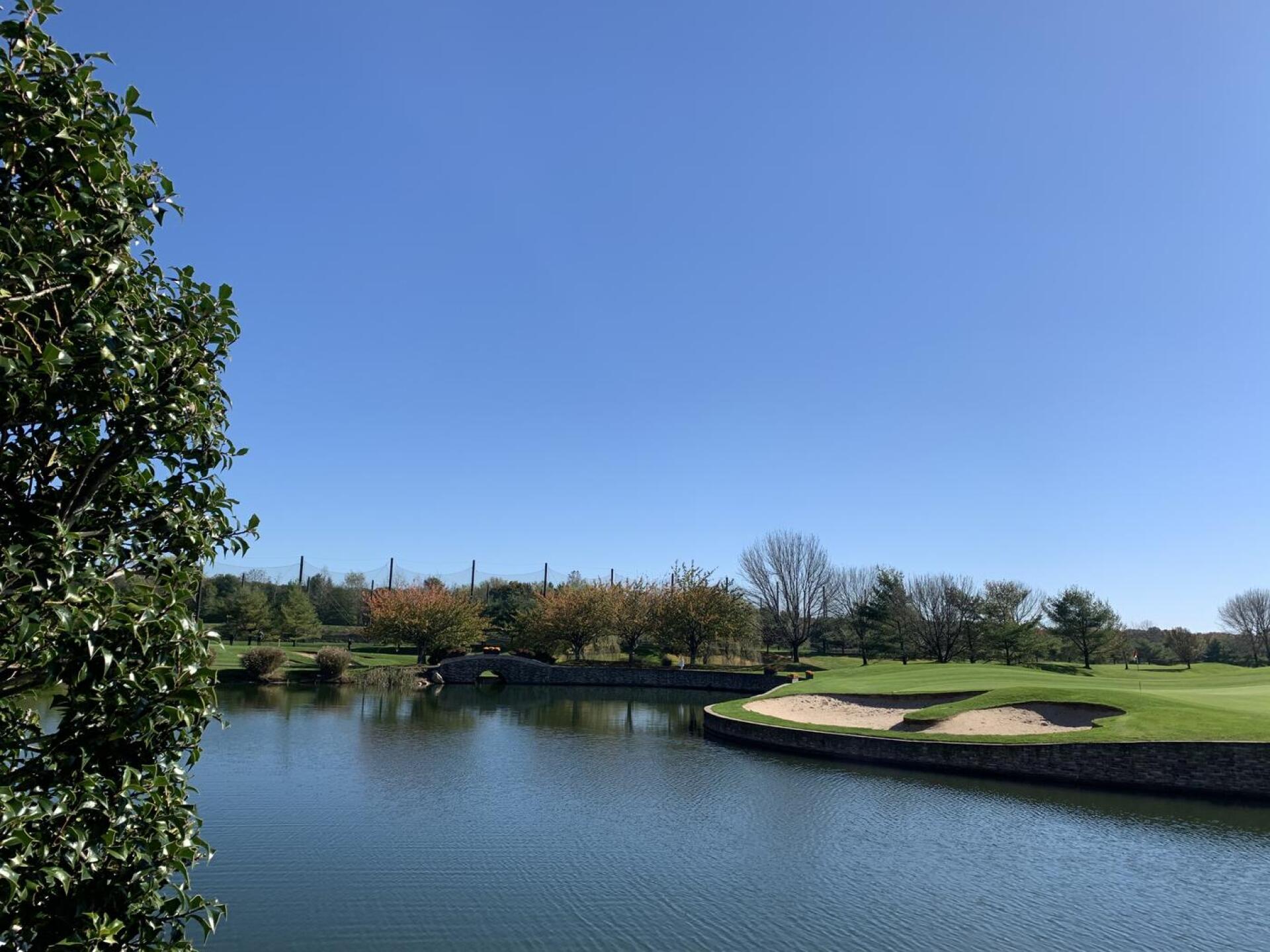 (Photo submitted by u1700085 on 11/01/2020)