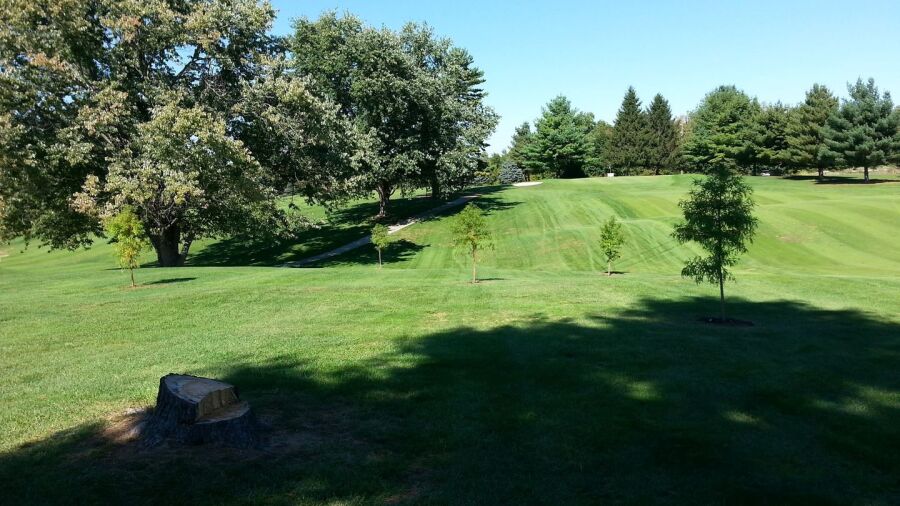 Windy Hill CC: #8