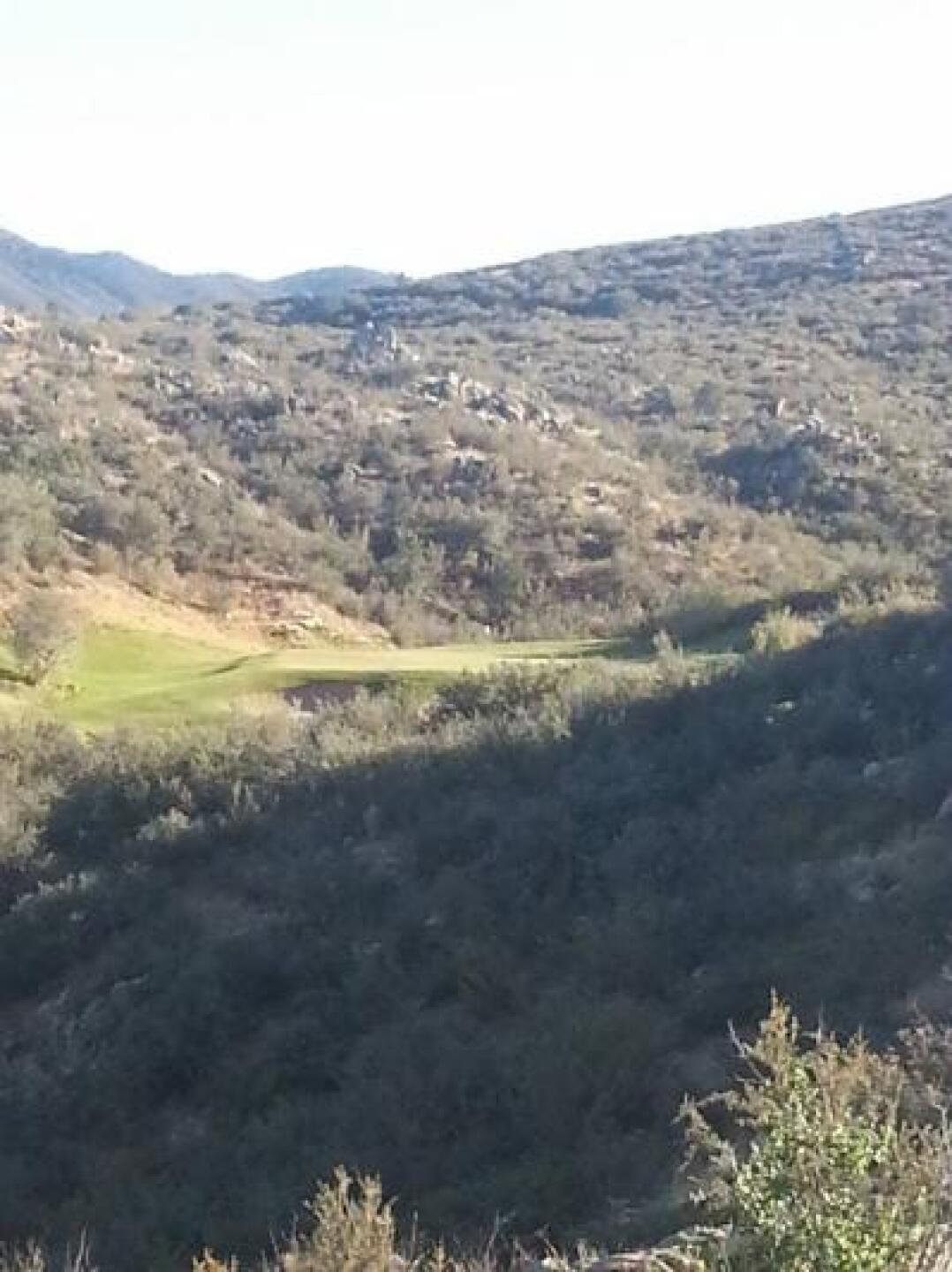 #12 from the tips (Photo submitted by tomkalafut on 10/14/2013)