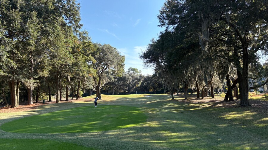 Palmetto Plantation Hall - Arthur Hills Course - hole 13