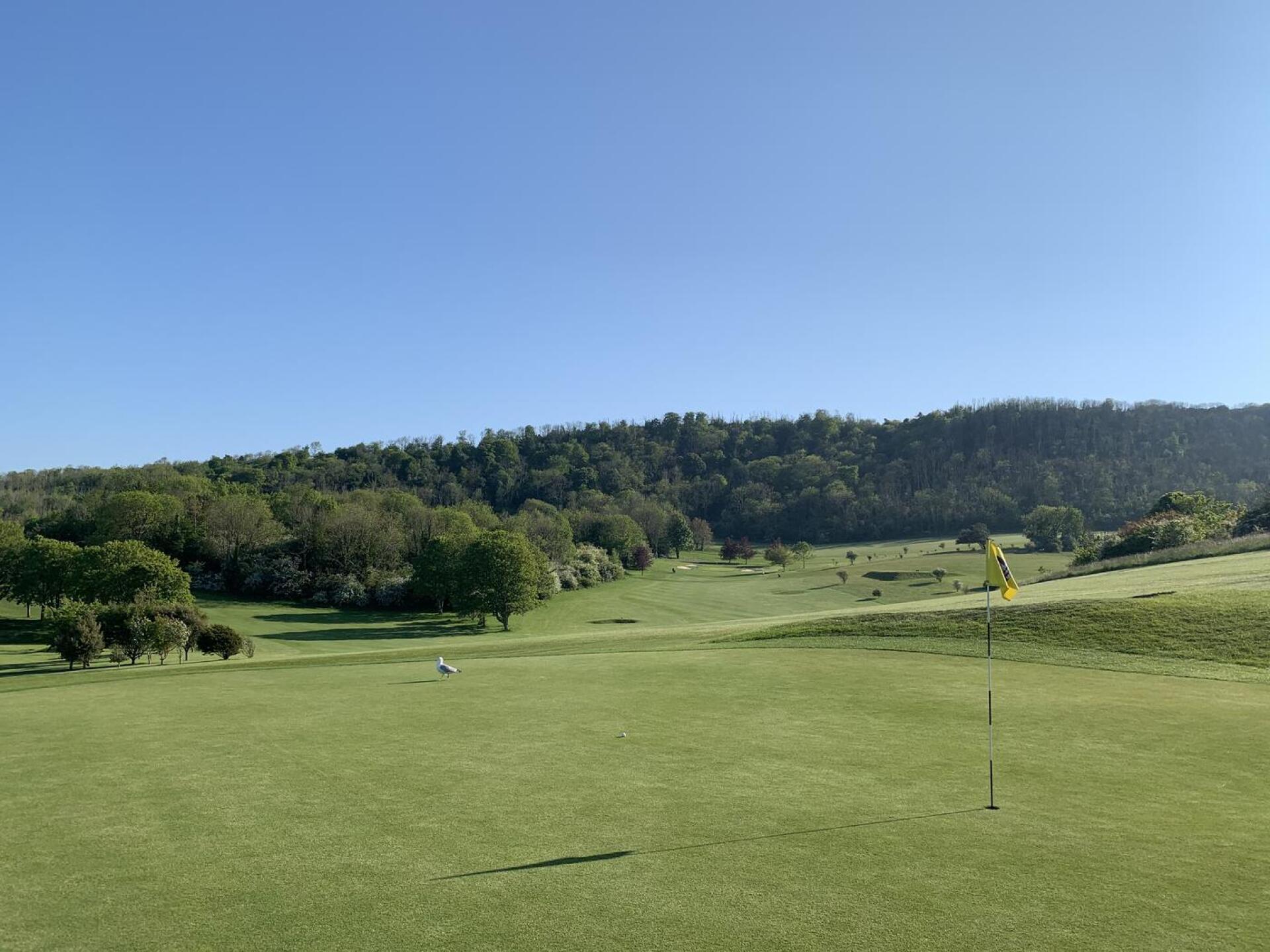 (Photo submitted by u314160268992 on 06/01/2021)