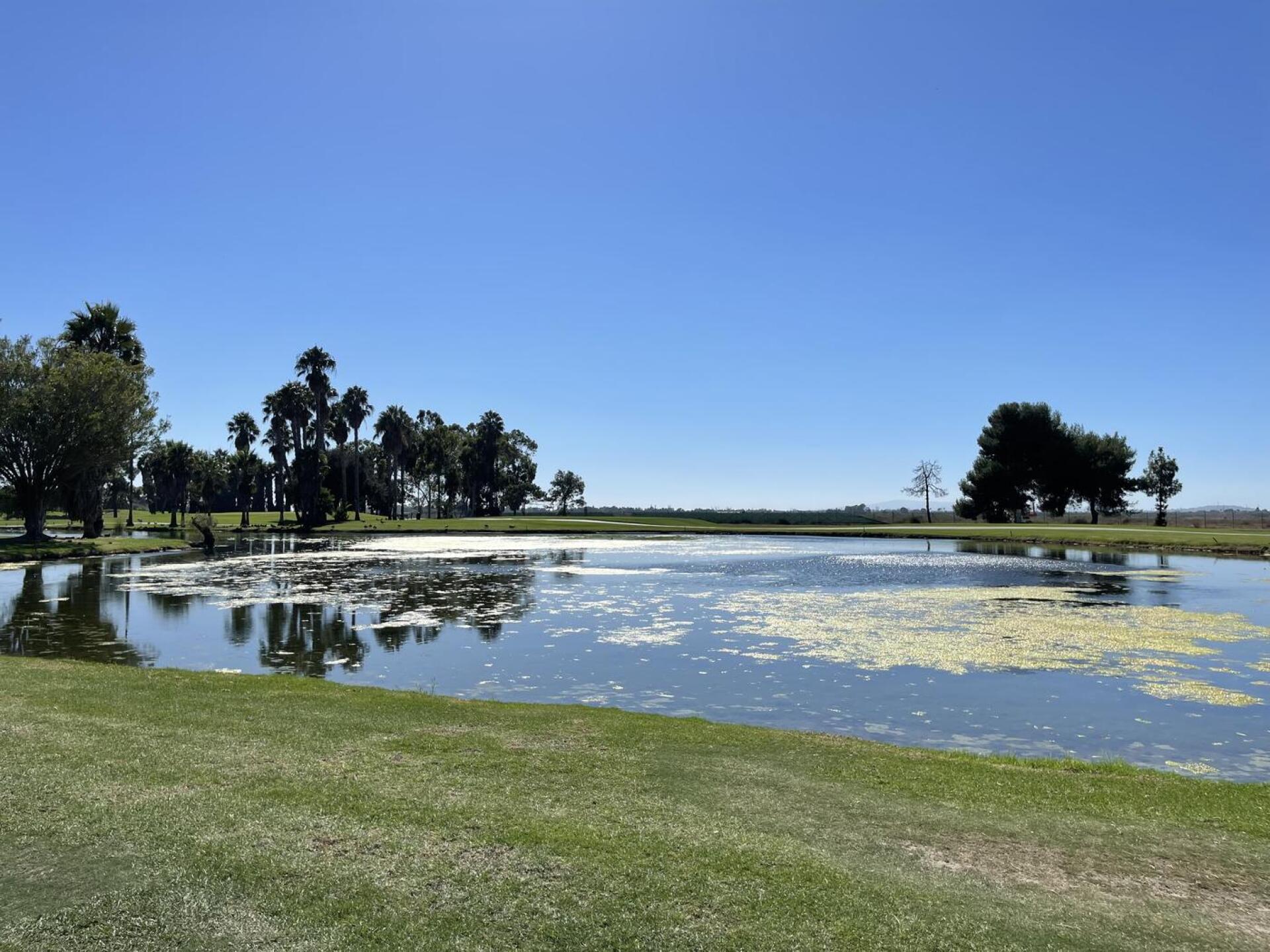 (Photo submitted by u314159904067 on 09/13/2021)