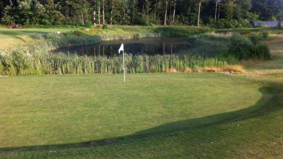 Braendeskovgard Golf: #2