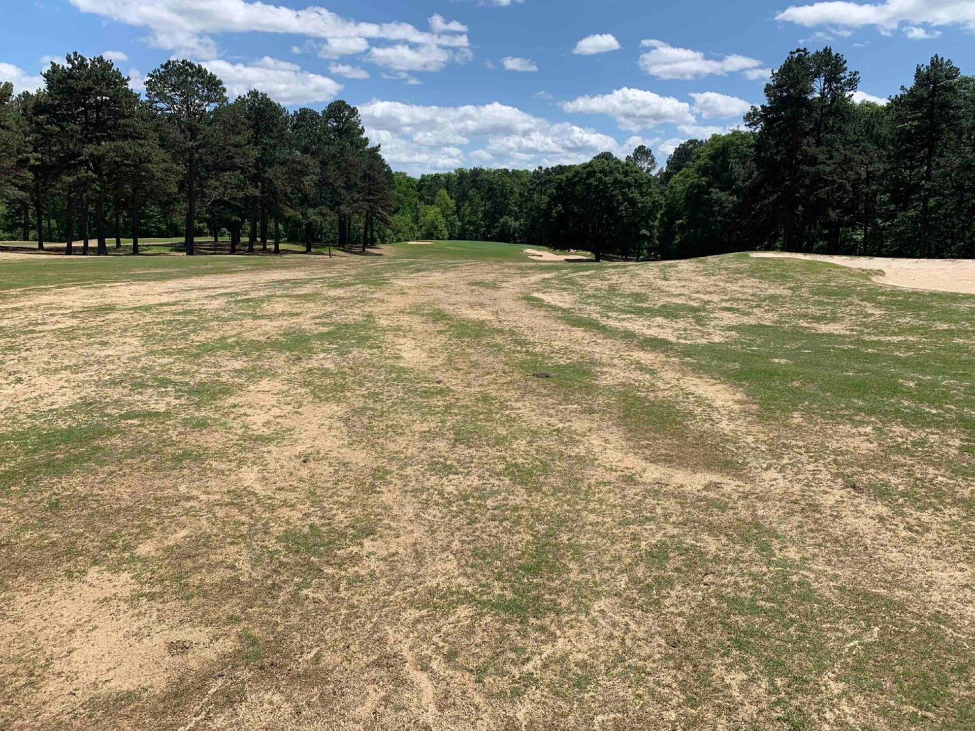 Typical Fairway (Photo submitted by VSGP8MvcM5fQwPXvSDqI on 04/27/2020)