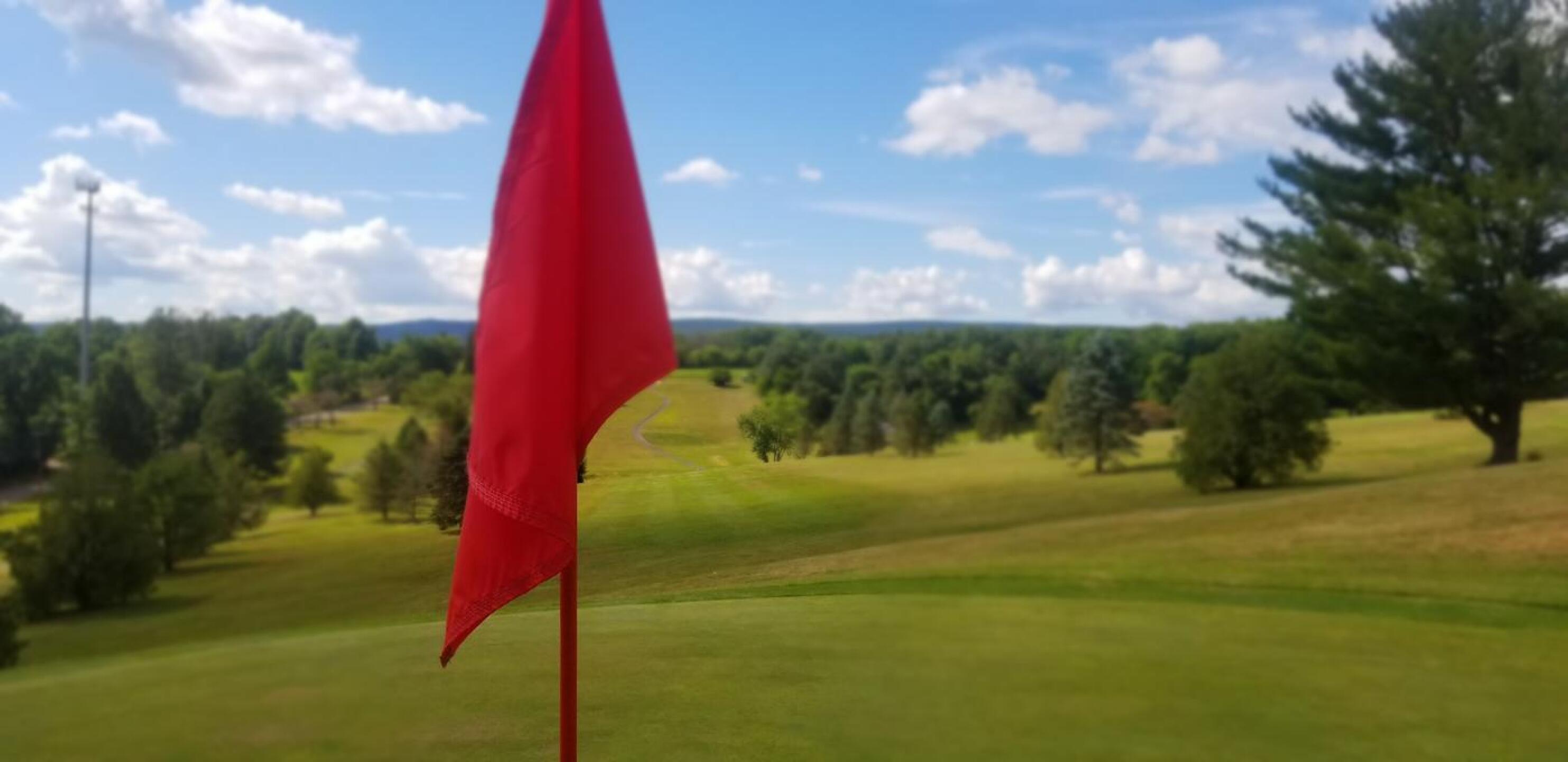 (Photo submitted by manofsteel30 on 07/02/2020)