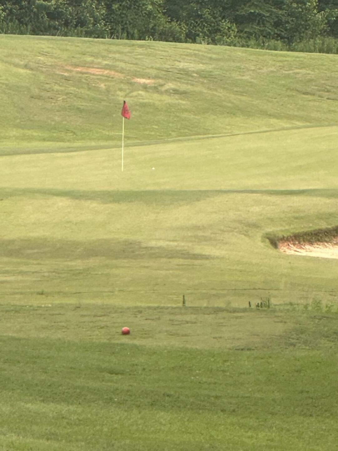 (Photo submitted by u767056853 on 06/09/2024)