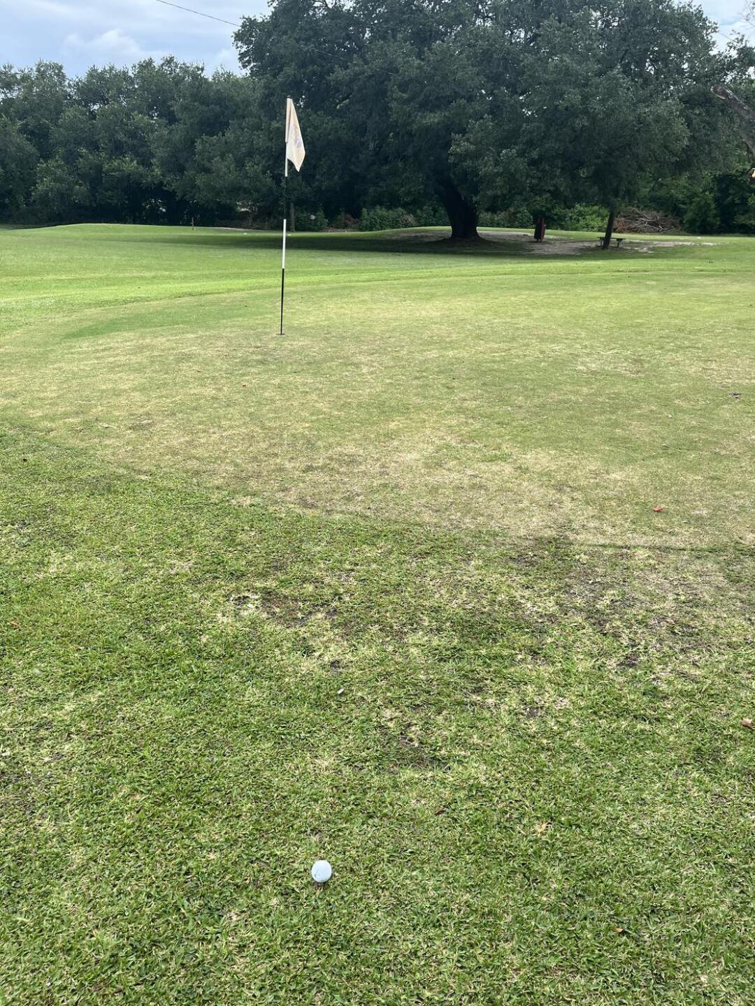 (Photo submitted by gn24823717 on 07/04/2025)