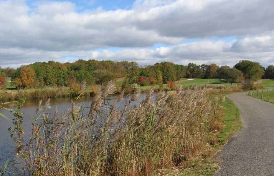 Cedar Creek GC 12, 13