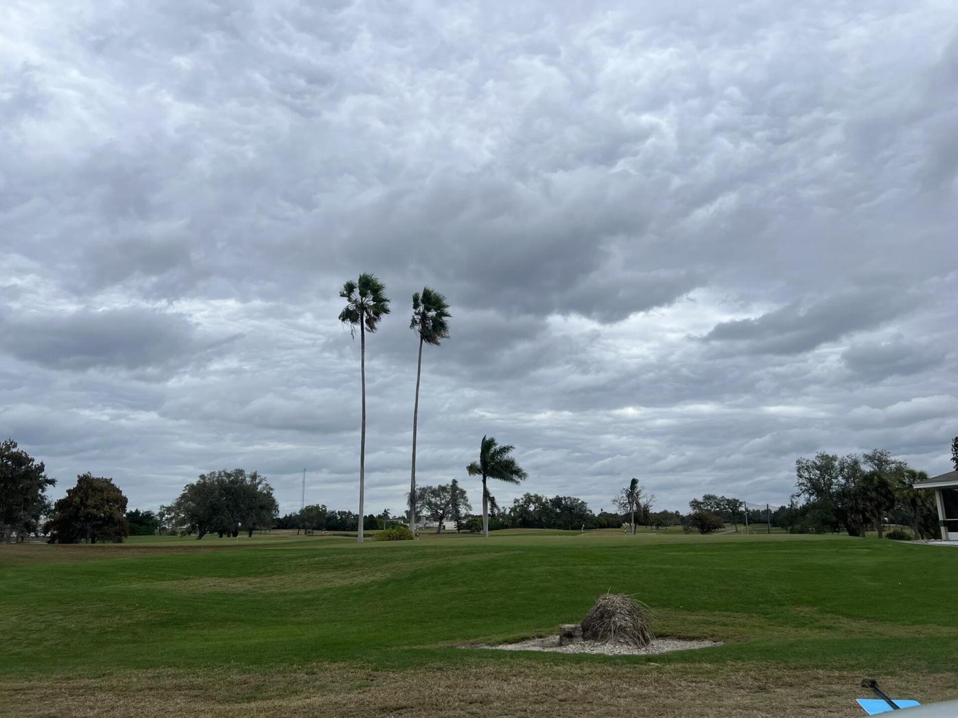 (Photo submitted by ibuyiphonesfast on 01/16/2026)