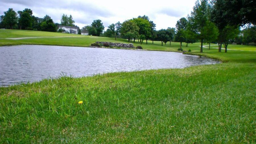 Warrenton GC: #2