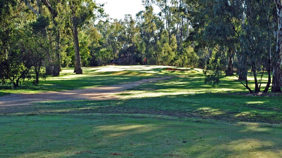 Benalla GC: #8