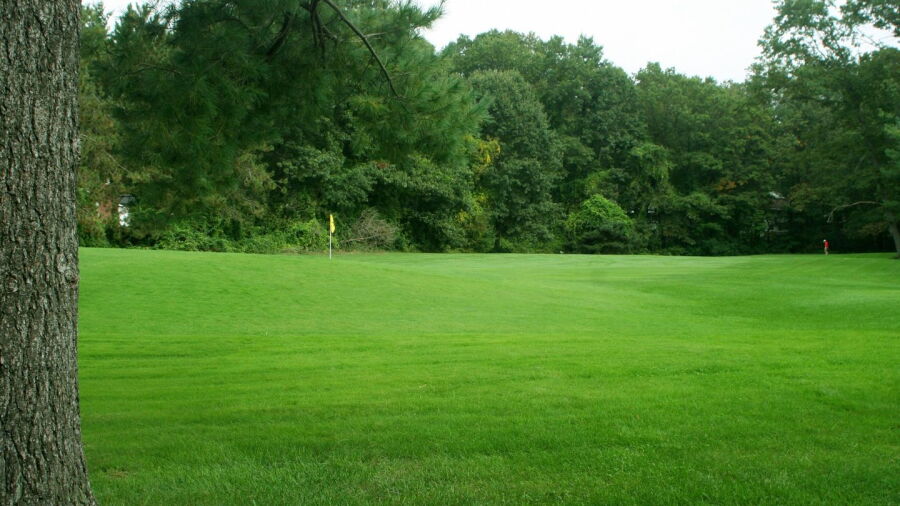Barney Road GC
