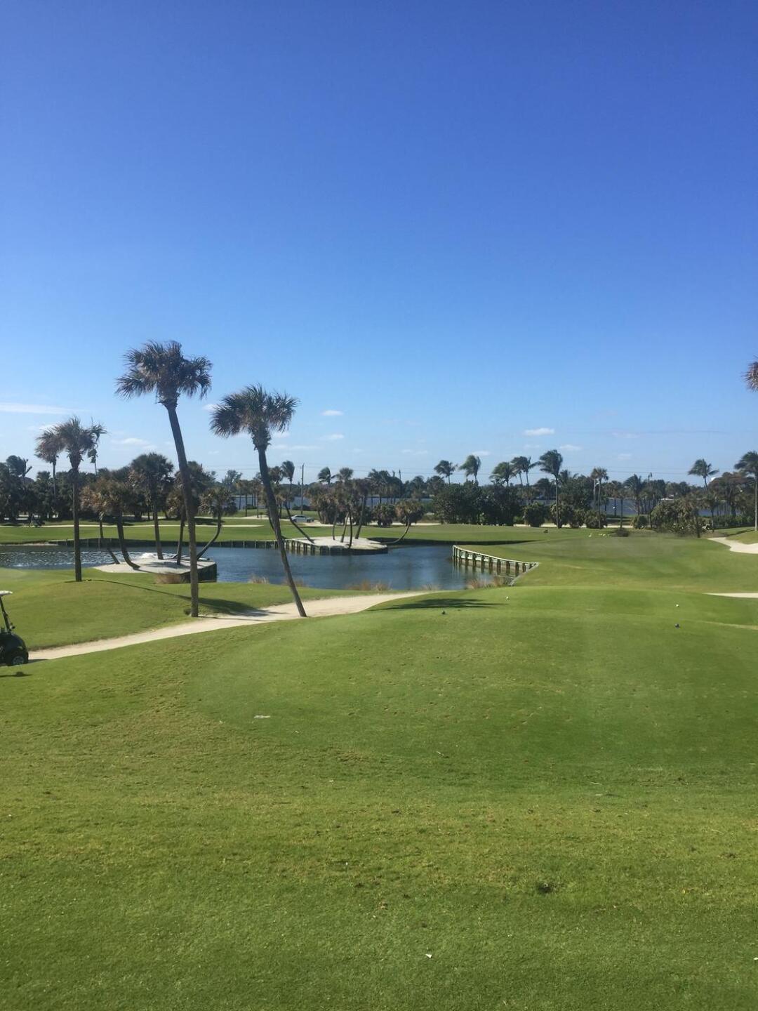 (Photo submitted by Gerry6117974 on 01/21/2020)