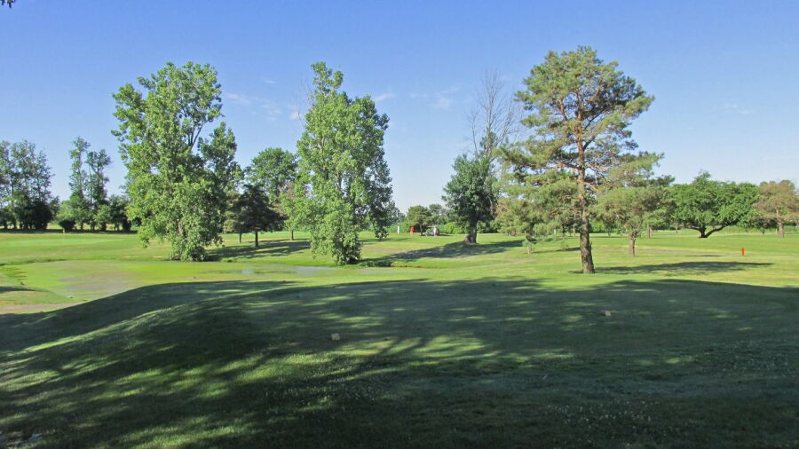 Burning Tree GC