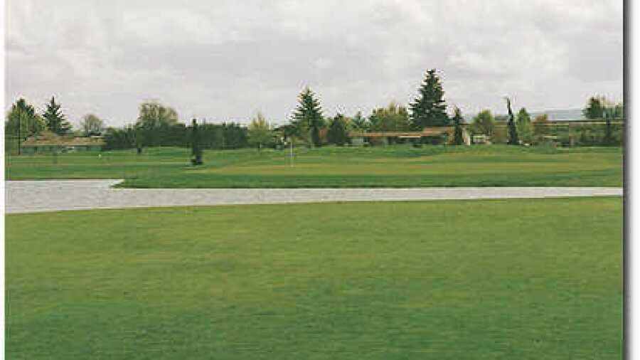 Quail Valley #9
