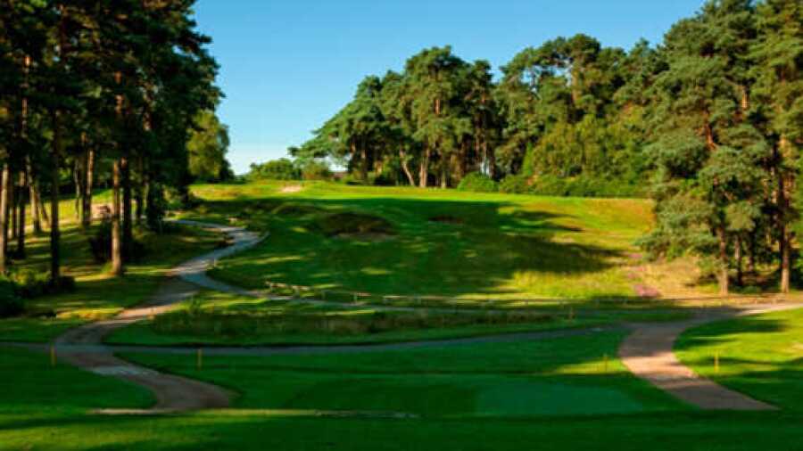 Cricket St. Thomas GC: #1