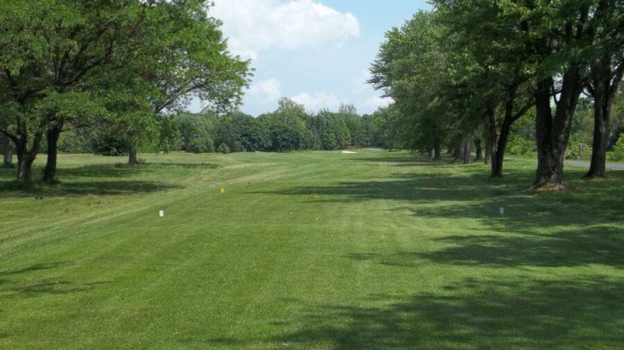 Conocodell GC: #2