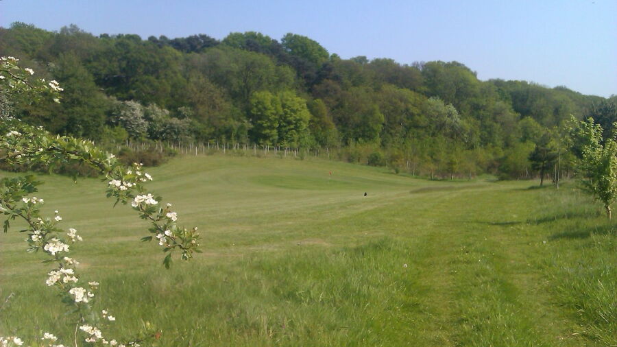 Greys Green GC