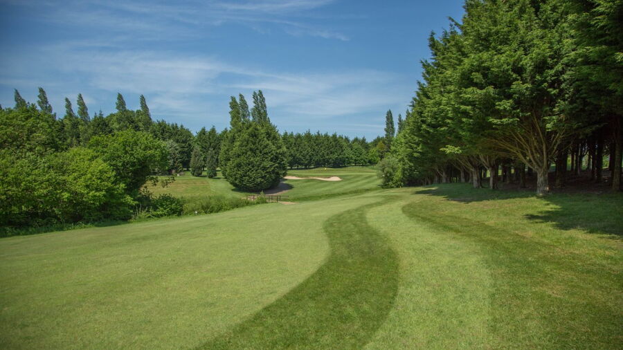 Bulbury Woods GC