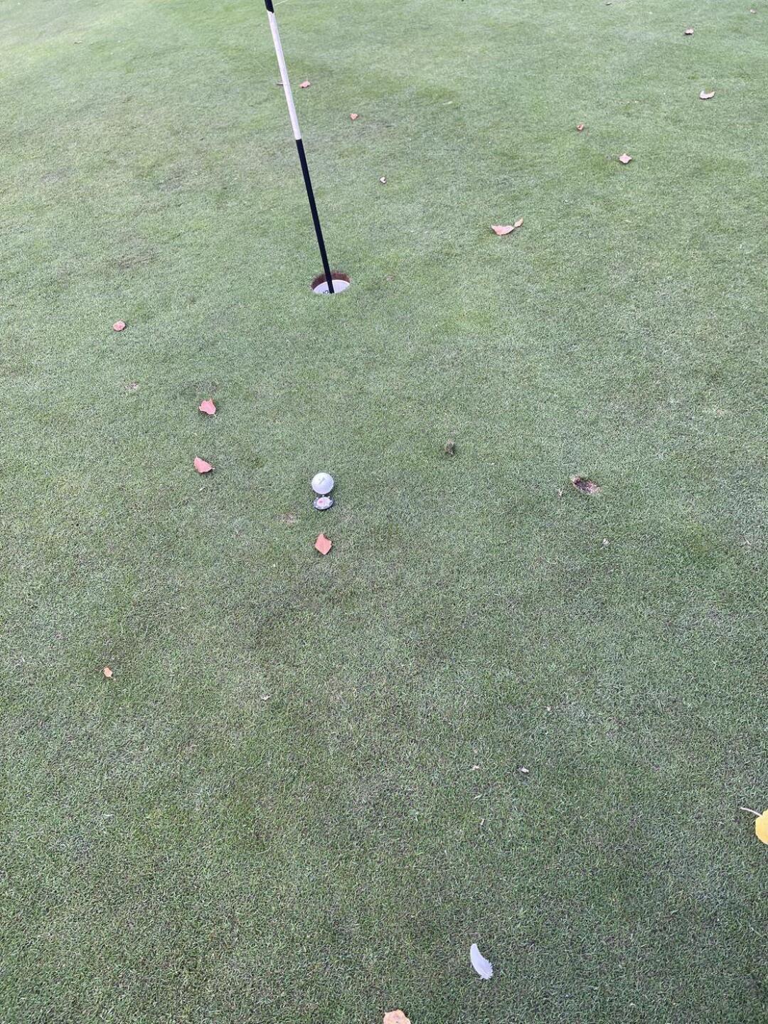 (Photo submitted by SEANCROUDACE on 10/28/2022)