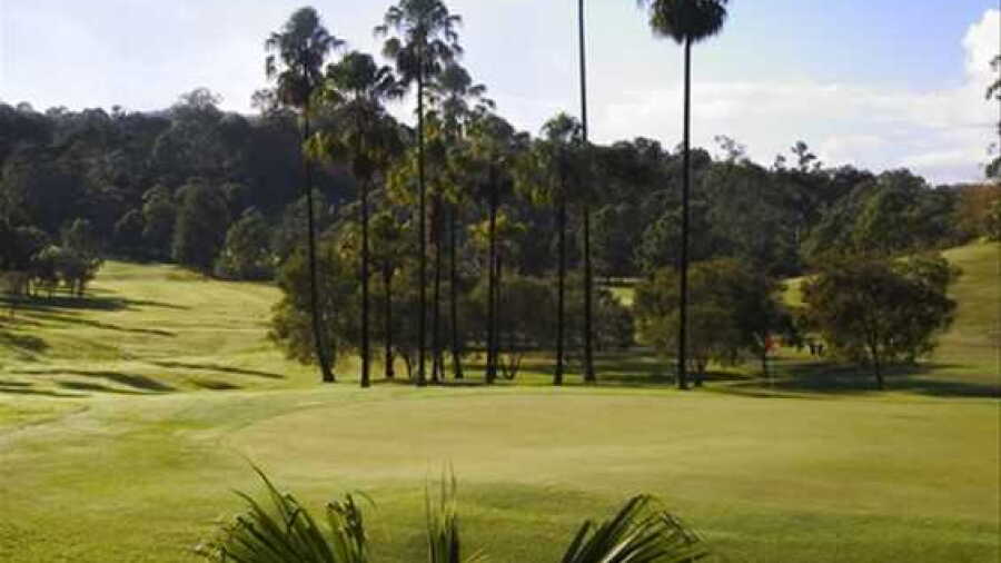 Nambour GC: #11